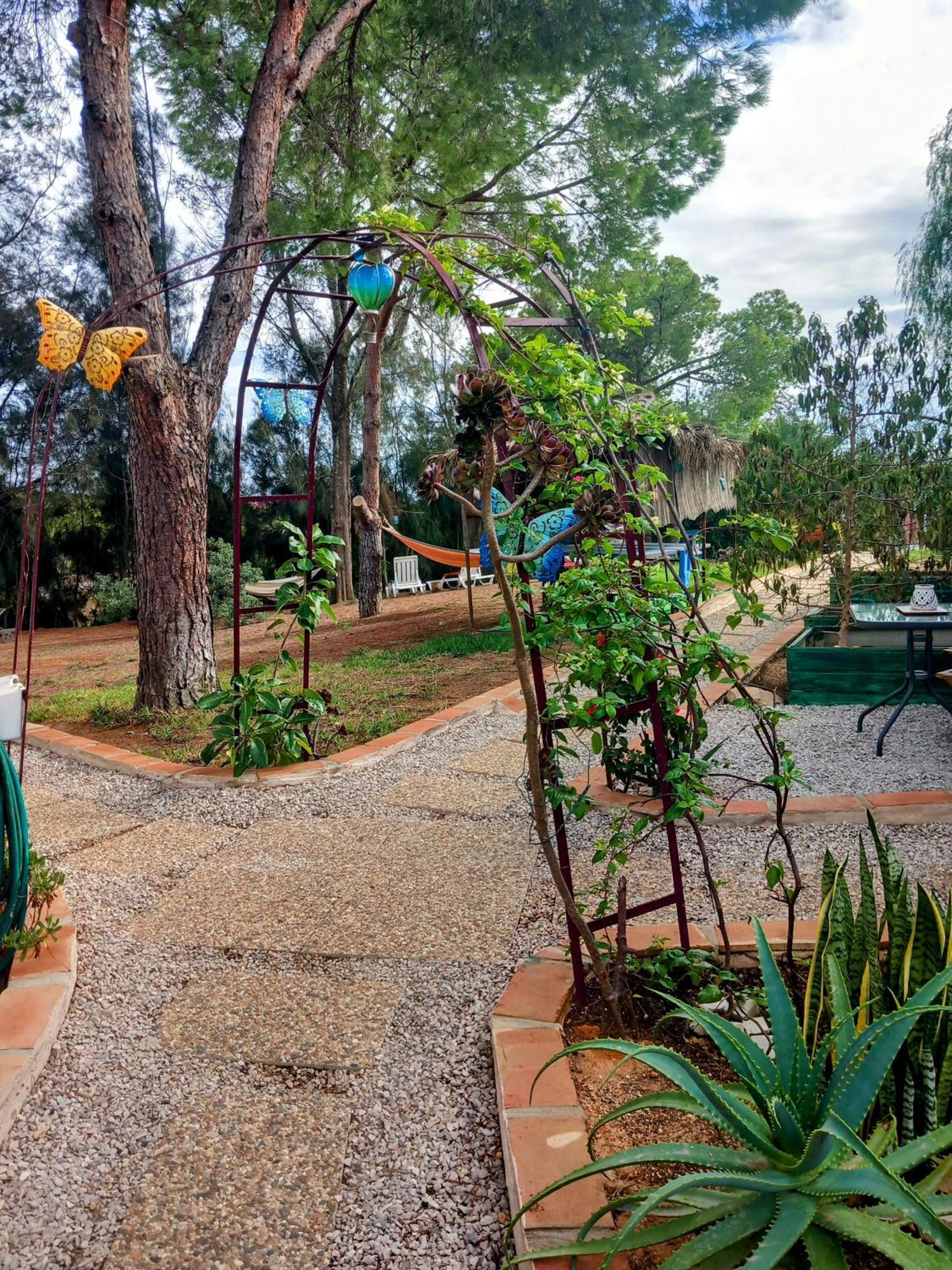 Romance Valdareina, Piscine Chauffee, Benagil-Carvoeiro Карвоейру Экстерьер фото